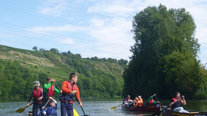 Menschen paddeln in Kanus auf dem Neckar, umgeben von gr&uuml;ner Landschaft und Weinbergen unter blauem Himmel., &copy; Die Zugv&ouml;gel - Kanu-Tours und mehr