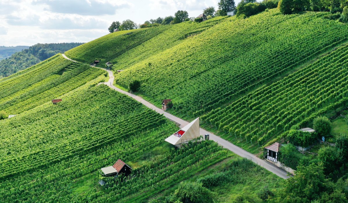 Grüne Weinberge am Grafenberg in Schorndorf, durchzogen von einem Weg. Kleine Gebäude sind zwischen den Reben verteilt., © Bebop Media Grüne Weinberge am Grafenberg in Schorndorf, durchzogen von einem Weg. Kleine Gebäude sind zwischen den Reben verteilt., © Bebop Media