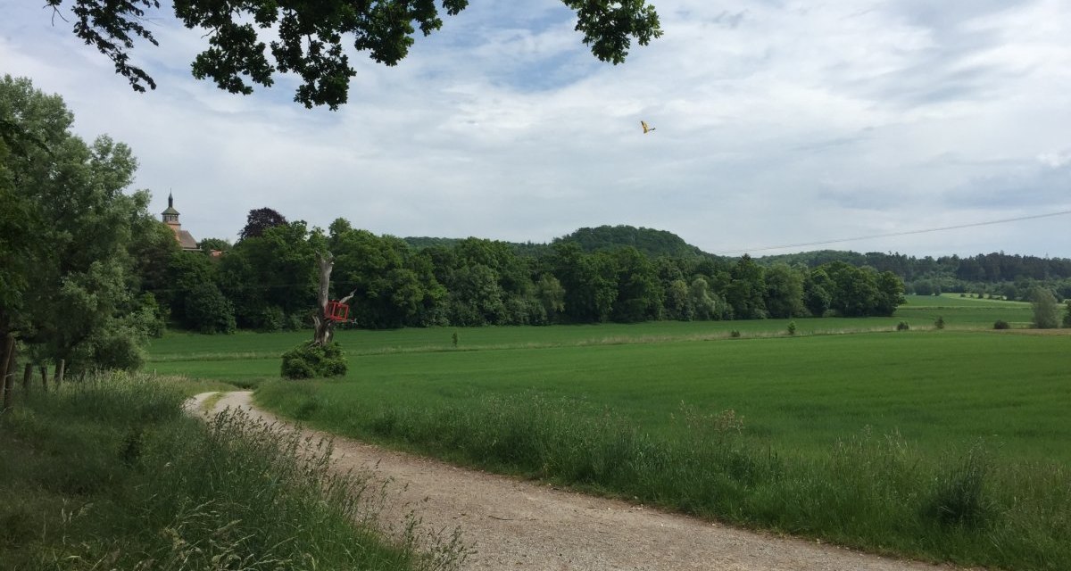 Ein Feldweg schl&auml;ngelt sich durch eine gr&uuml;ne Landschaft. Ein rotes Kunstwerk ist an einem Baumstumpf zu sehen, im Hintergrund ein Geb&auml;ude., &copy; www.pro-cycl.de