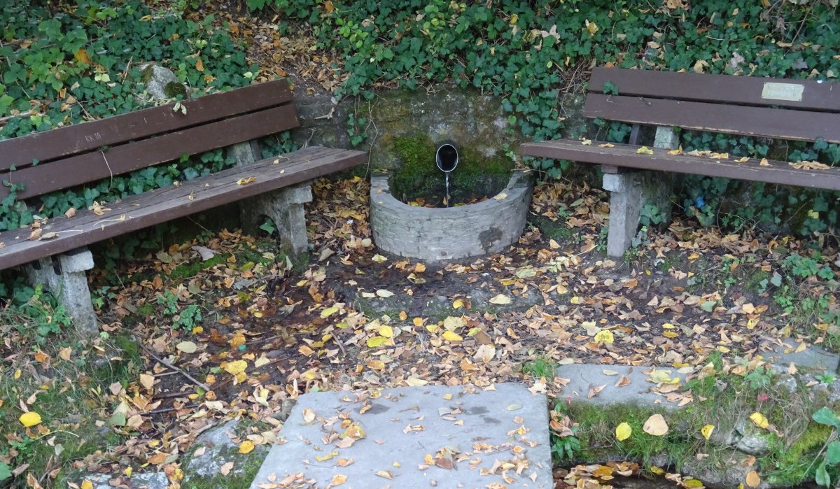 Zwei Holzbänke flankieren einen kleinen Brunnen in einem bewaldeten Bereich, umgeben von Herbstlaub., © Foto: Cornelia Steinbach Zwei Holzbänke flankieren einen kleinen Brunnen in einem bewaldeten Bereich, umgeben von Herbstlaub., © Foto: Cornelia Steinbach