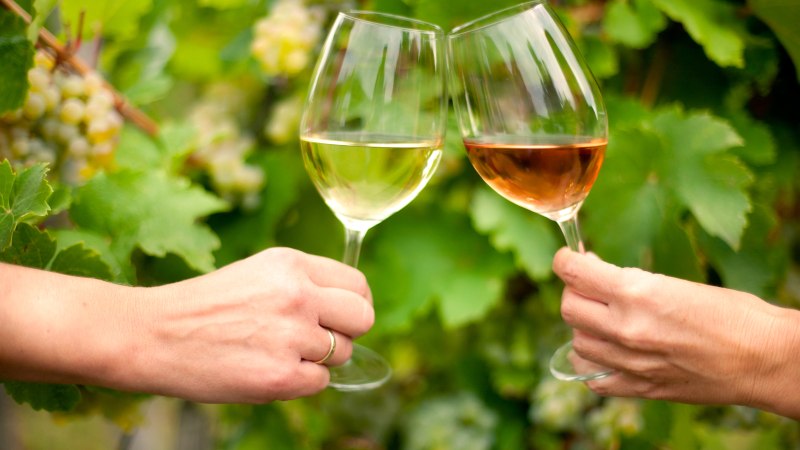 Zwei H&auml;nde sto&szlig;en mit Weingl&auml;sern an, im Hintergrund gr&uuml;ne Weinbl&auml;tter und Trauben., &copy; Tourismusgemeinschaft Marbach-Bottwartal/Corinna Jacobs