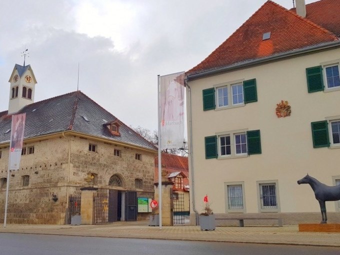 Historische Geb&auml;ude in Bad Urach mit einer Pferdestatue im Vordergrund und Fahnen. Der Himmel ist bew&ouml;lkt., &copy; SwabianTravel