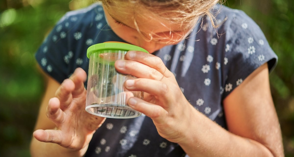 Ein Kind untersucht ein Insekt in einem Glasbehälter mit grünem Deckel. Es trägt ein blaues T-Shirt mit Blumenmuster und befindet sich im Freien., © Natur.Nah. Schönbuch & Heckengäu Ein Kind untersucht ein Insekt in einem Glasbehälter mit grünem Deckel. Es trägt ein blaues T-Shirt mit Blumenmuster und befindet sich im Freien., © Natur.Nah. Schönbuch & Heckengäu