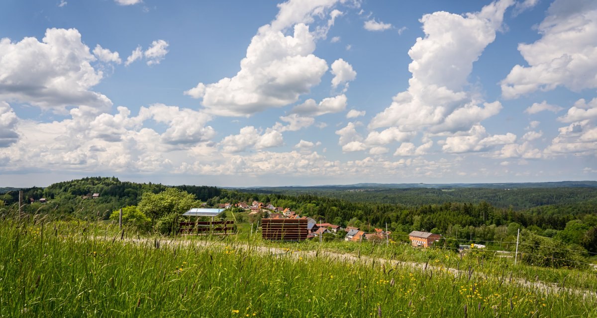 Grüne Wiese mit gelben Blumen im Vordergrund, dahinter ein Dorf und bewaldete Hügel unter blauem Himmel mit Wolken., © agentur arcos/Niki Eilers Grüne Wiese mit gelben Blumen im Vordergrund, dahinter ein Dorf und bewaldete Hügel unter blauem Himmel mit Wolken., © agentur arcos/Niki Eilers