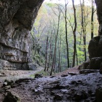 Blick aus einer Höhle auf einen herbstlichen Wald. Die Felsen der Höhle sind rau und der Boden ist uneben. Bäume mit buntem Laub sind sichtbar.