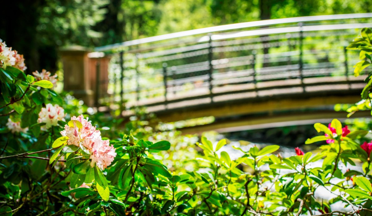 Kurpark Br&uuml;cke, &copy; N&ouml;rdlicher Schwarzwald