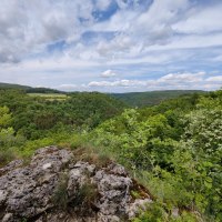 Blick ins Tal vom Hohen Fels, © Bad Urach Tourismus