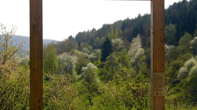 Kunst am Venusberg, &copy; Natur.Nah. Sch&ouml;nbuch & Heckeng&auml;u