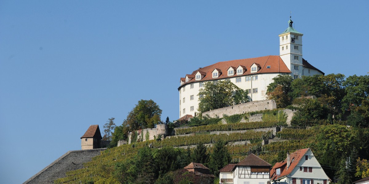 Schloss Kalteneck thront auf einem Hügel mit Weinbergen, umgeben von Bäumen und einem klaren blauen Himmel. Im Vordergrund sind Häuser zu sehen., © Stuttgart-Marketing GmbH Schloss Kalteneck thront auf einem Hügel mit Weinbergen, umgeben von Bäumen und einem klaren blauen Himmel. Im Vordergrund sind Häuser zu sehen., © Stuttgart-Marketing GmbH