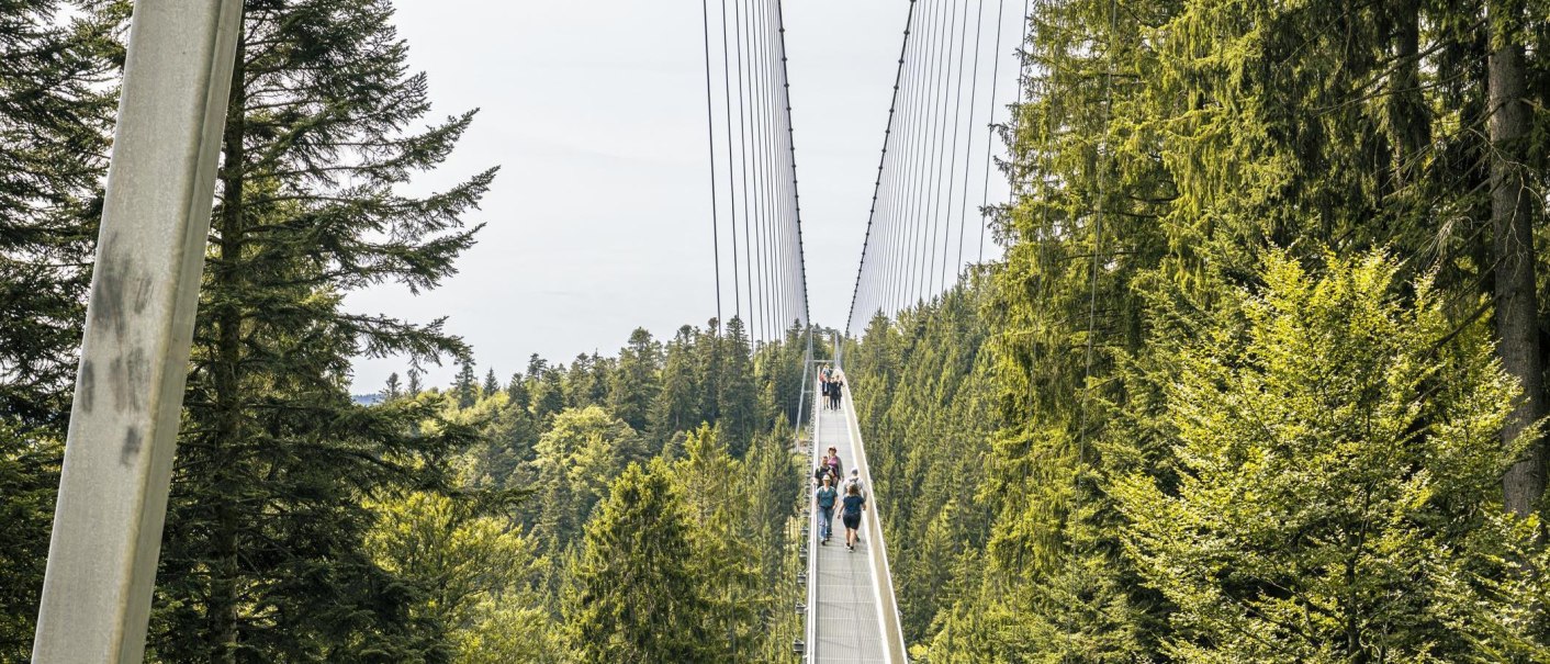Die WILDLINE Hängebrücke spannt sich über einen Wald, mit Menschen, die darauf spazieren gehen. Umgeben von hohen Bäumen und grünem Laub., © Stuttgart-Marketing GmbH, Sarah Schmid