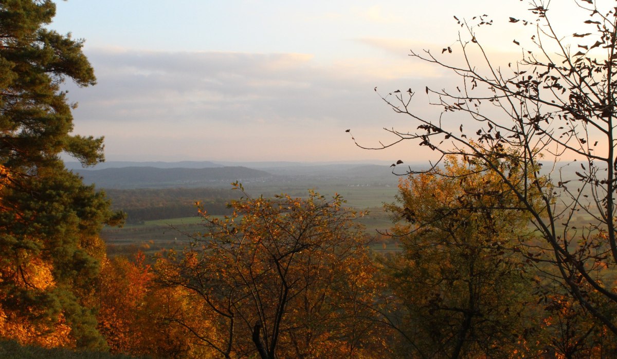 Herbstliche Landschaft mit bunten Bäumen und weitem Blick über ein Tal im Sonnenuntergang. Der Himmel ist leicht bewölkt., © Natur.Nah. Schönbuch & Heckengäu Herbstliche Landschaft mit bunten Bäumen und weitem Blick über ein Tal im Sonnenuntergang. Der Himmel ist leicht bewölkt., © Natur.Nah. Schönbuch & Heckengäu