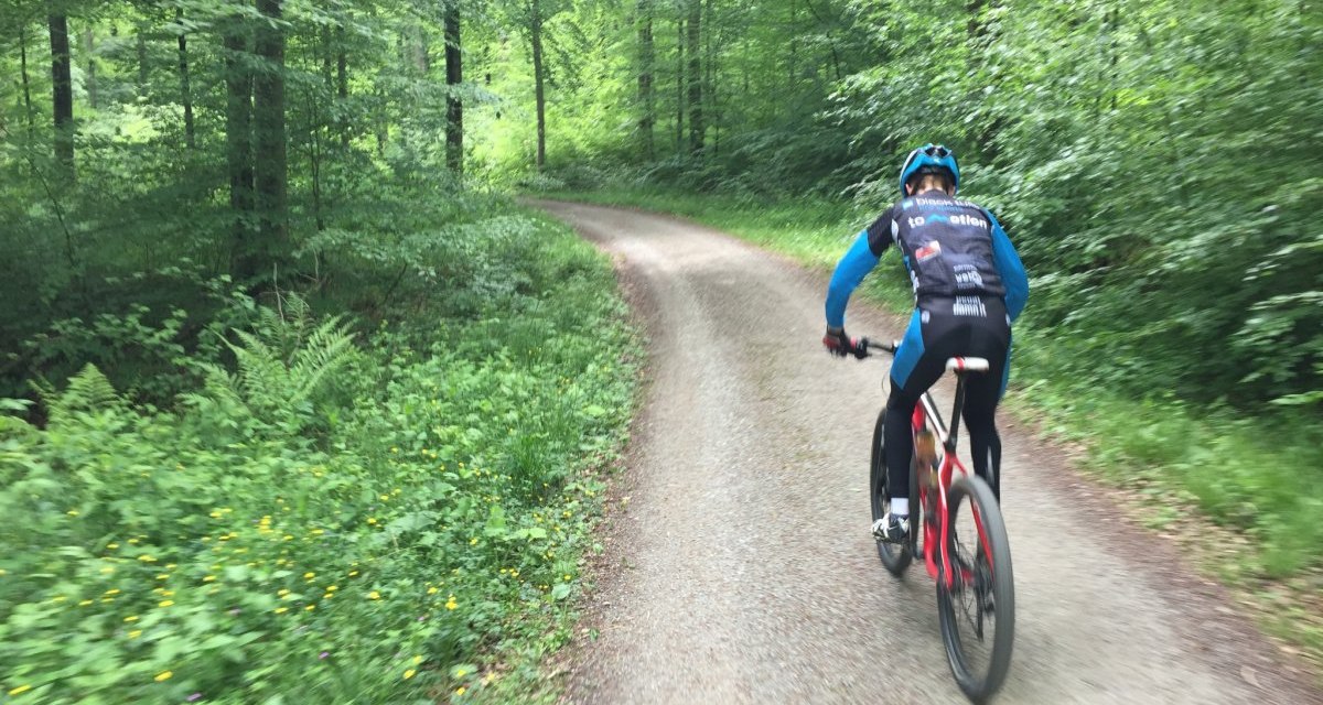 Ein Radfahrer in blauer und schwarzer Sportkleidung fährt auf einem schmalen Waldweg durch einen grünen, dichten Wald., © Natur.Nah. Schönbuch & Heckengäu Ein Radfahrer in blauer und schwarzer Sportkleidung fährt auf einem schmalen Waldweg durch einen grünen, dichten Wald., © Natur.Nah. Schönbuch & Heckengäu
