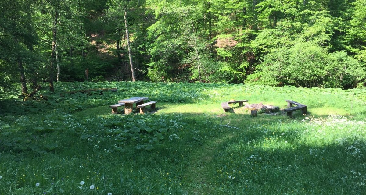 Ein idyllischer Grillplatz im Wald mit Bänken und einer Feuerstelle auf einer grünen Wiese, umgeben von Bäumen und Pflanzen., © www.pro-cycl.de Ein idyllischer Grillplatz im Wald mit Bänken und einer Feuerstelle auf einer grünen Wiese, umgeben von Bäumen und Pflanzen., © www.pro-cycl.de