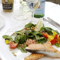 Fr&uuml;hlingsmen&uuml; im Marktst&uuml;ble in der Stuttgarter Markthalle, &copy; Loo&szlig; Kulinarisches OHG