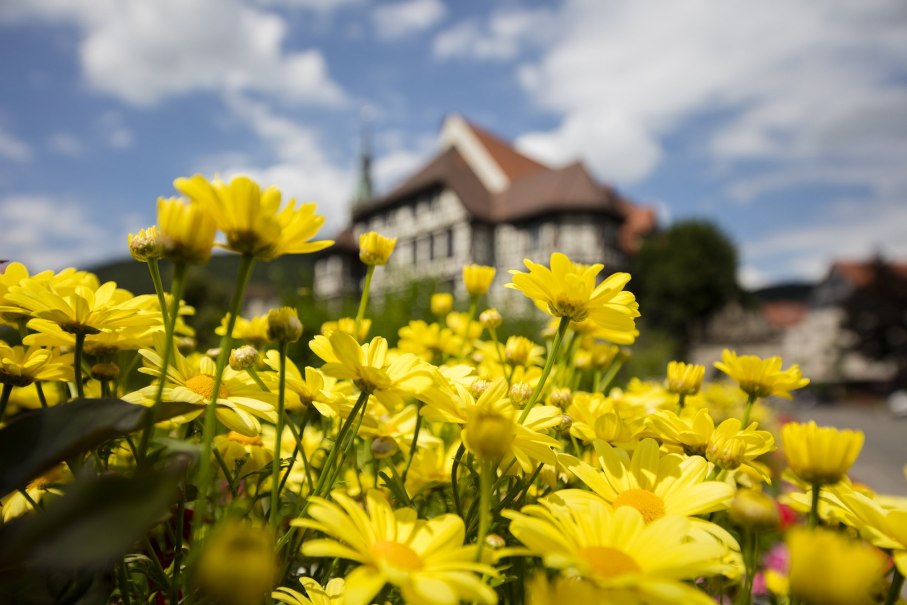 Öffentliche Baustellenführung auf dem Gartenschaugelände Bad Urach, © Bad Urach Tourismus Öffentliche Baustellenführung auf dem Gartenschaugelände Bad Urach, © Bad Urach Tourismus