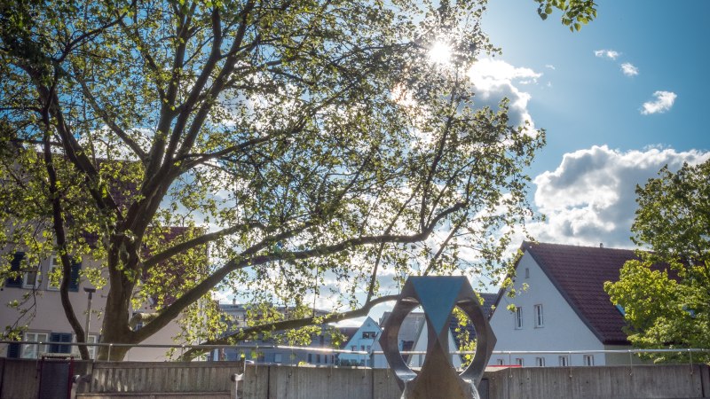 Moderner Brunnen auf gepflastertem Platz, umgeben von Bäumen und Gebäuden. Die Sonne scheint durch die Blätter, der Himmel ist blau mit wenigen Wolken., © René Straube