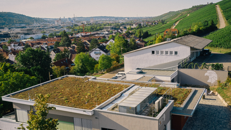 Gebäude mit begrünten Dächern und Weinberge im Hintergrund. Die Stadt erstreckt sich bis zu den Hügeln., © TeamWerk Esslingen Gebäude mit begrünten Dächern und Weinberge im Hintergrund. Die Stadt erstreckt sich bis zu den Hügeln., © TeamWerk Esslingen