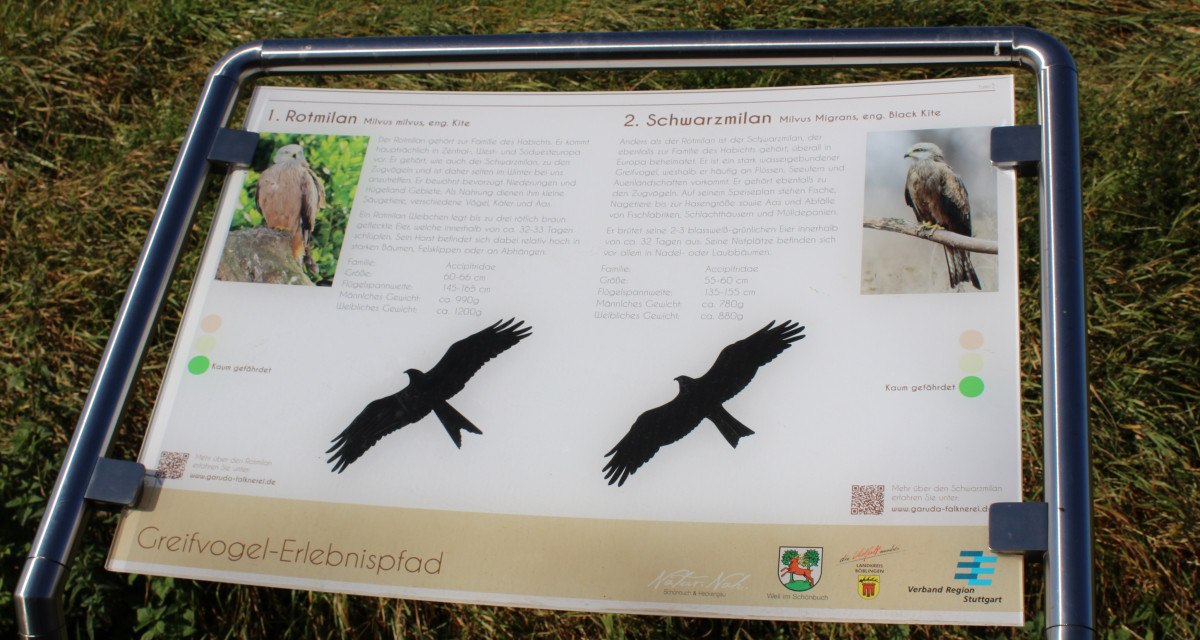 Infotafel über Rotmilan und Schwarzmilan auf einem Greifvogel-Erlebnispfad. Enthält Bilder und Informationen zu den Vögeln. Hintergrund aus Gras., © Natur.Nah. Schönbuch & Heckengäu Infotafel über Rotmilan und Schwarzmilan auf einem Greifvogel-Erlebnispfad. Enthält Bilder und Informationen zu den Vögeln. Hintergrund aus Gras., © Natur.Nah. Schönbuch & Heckengäu