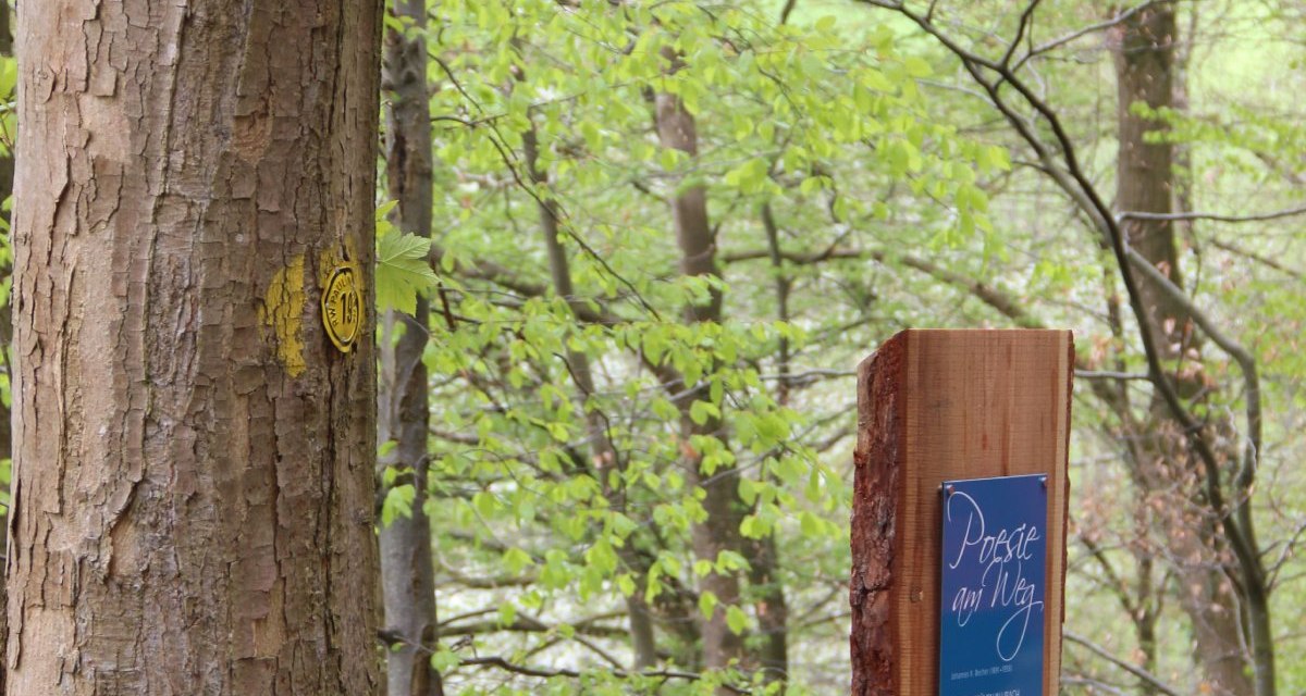 Am Weg finden Sie einige Schilder aus Holz, © Bad Urach Tourismus Am Weg finden Sie einige Schilder aus Holz, © Bad Urach Tourismus