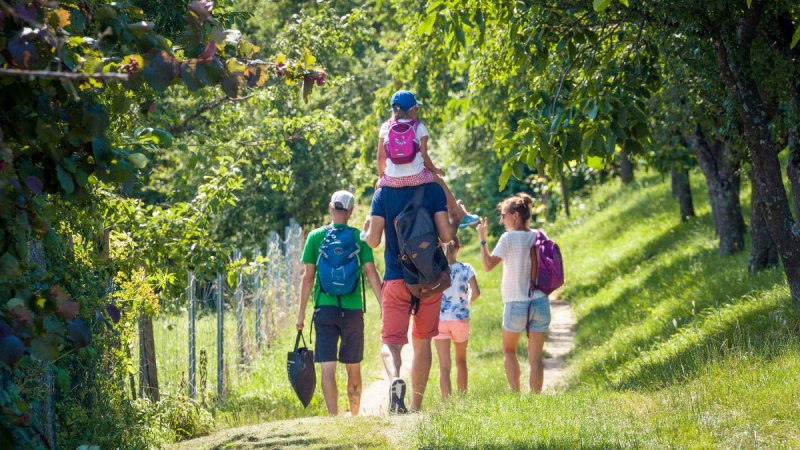 Eine Familie wandert auf einem sonnigen Pfad durch grüne Streuobstwiesen. Ein Kind sitzt auf den Schultern eines Erwachsenen. Alle tragen Rucksäcke., © hochgehberge