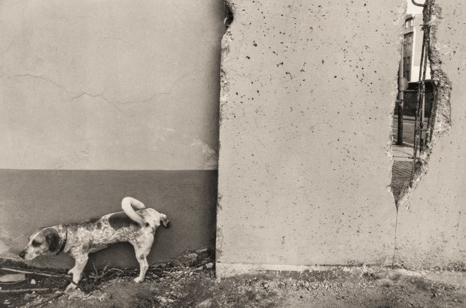 Ein Hund steht neben einer Betonwand mit einem großen Loch, das den Blick auf eine Straße freigibt. Die Szene wirkt verlassen und ruhig., © Kunsthalle Göppingen Ein Hund steht neben einer Betonwand mit einem großen Loch, das den Blick auf eine Straße freigibt. Die Szene wirkt verlassen und ruhig., © Kunsthalle Göppingen