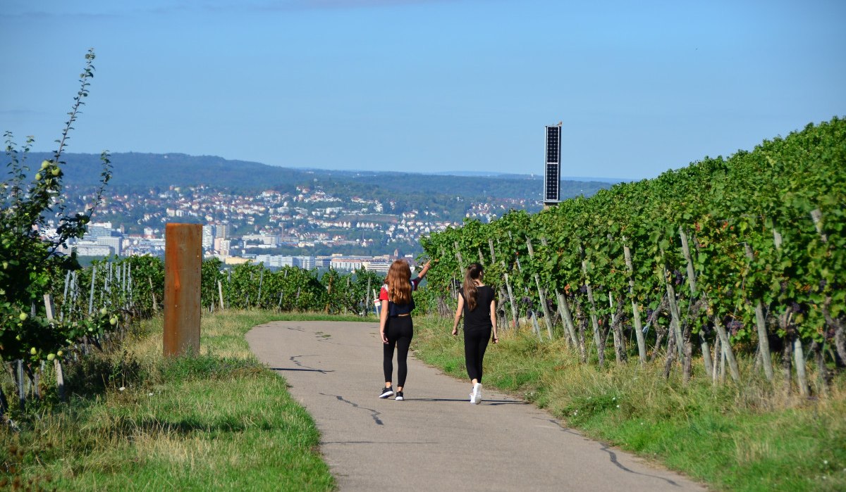 Zwei Personen spazieren auf einem Weg durch grüne Weinberge. Im Hintergrund ist eine Stadtlandschaft zu sehen., © Remstal Tourismus e.V.