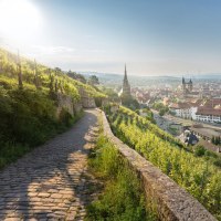 Blick aus den Weinbergen in die Stadt fr&uuml;hmorgens, &copy; Jean-Claude Winkler