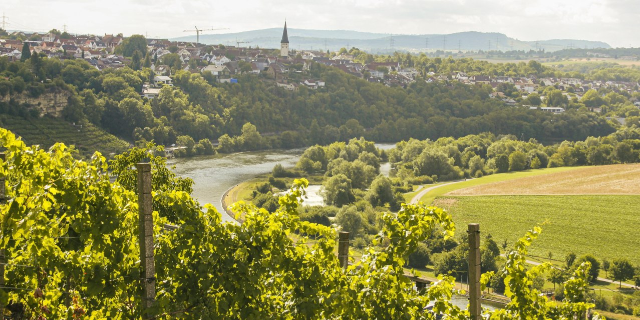 Weinberge &uuml;berblicken eine Flusslandschaft mit einer Stadt im Hintergrund. Die Landschaft ist gr&uuml;n und h&uuml;gelig, mit einem Kirchturm sichtbar., &copy; SMG, Ellen Haeffner