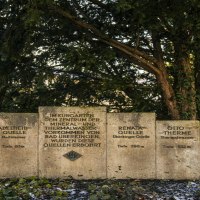 Steintafeln im Kurpark von Bad Überkingen informieren über verschiedene Quellen, umgeben von Bäumen und Efeu., © SMG, Sarah Schmid