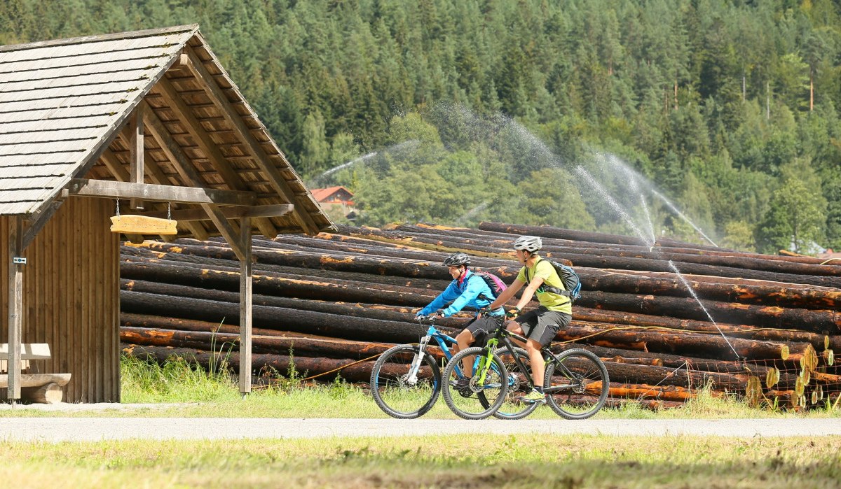 Zwei Radfahrer fahren auf einem Weg neben gestapelten Baumstämmen und einem Holzunterstand. Im Hintergrund ist dichter Wald zu sehen., © Nördlicher Schwarzwald Zwei Radfahrer fahren auf einem Weg neben gestapelten Baumstämmen und einem Holzunterstand. Im Hintergrund ist dichter Wald zu sehen., © Nördlicher Schwarzwald