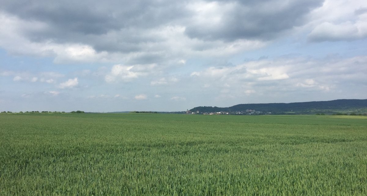 Ein weites Getreidefeld erstreckt sich unter einem bewölkten Himmel. Am Horizont ist eine Stadt vor einer Hügelkette zu sehen., © www.pro-cycl.de Ein weites Getreidefeld erstreckt sich unter einem bewölkten Himmel. Am Horizont ist eine Stadt vor einer Hügelkette zu sehen., © www.pro-cycl.de