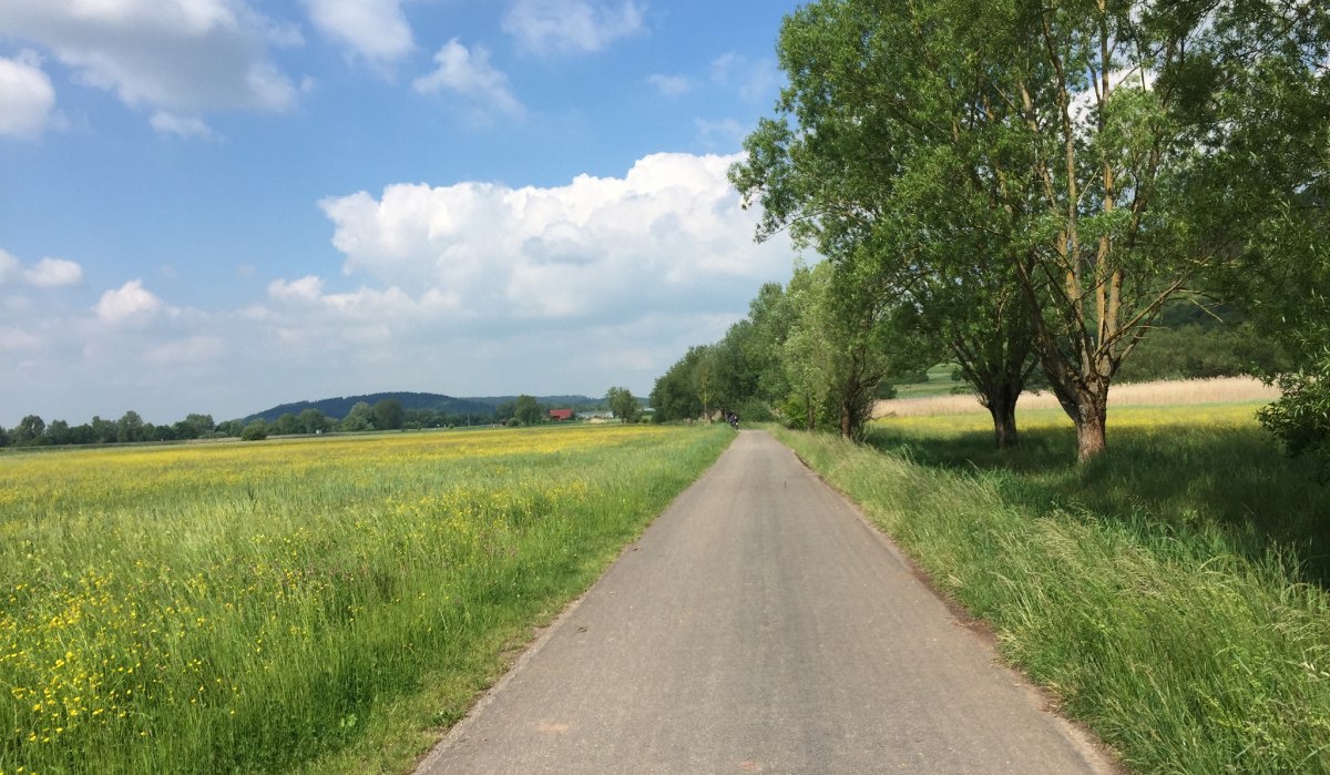 Asphaltierter Radweg durch grüne Wiesenlandschaft, gesäumt von Bäumen, unter blauem Himmel mit Wolken., © www.pro-cycl.de Asphaltierter Radweg durch grüne Wiesenlandschaft, gesäumt von Bäumen, unter blauem Himmel mit Wolken., © www.pro-cycl.de