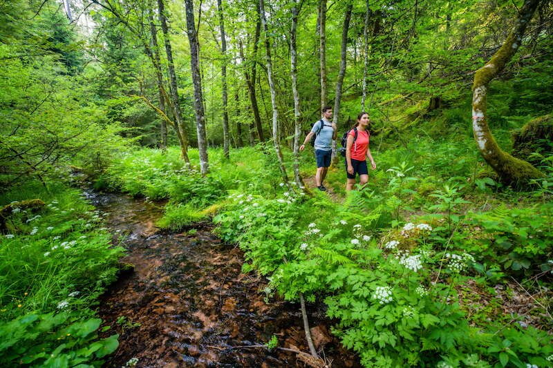 2. Globetrotter Wandertage Schwarzwald: Wanderung "Aichelberger Traumtour mit Fautsburg", © Touristik Bad Wildbad GmbH