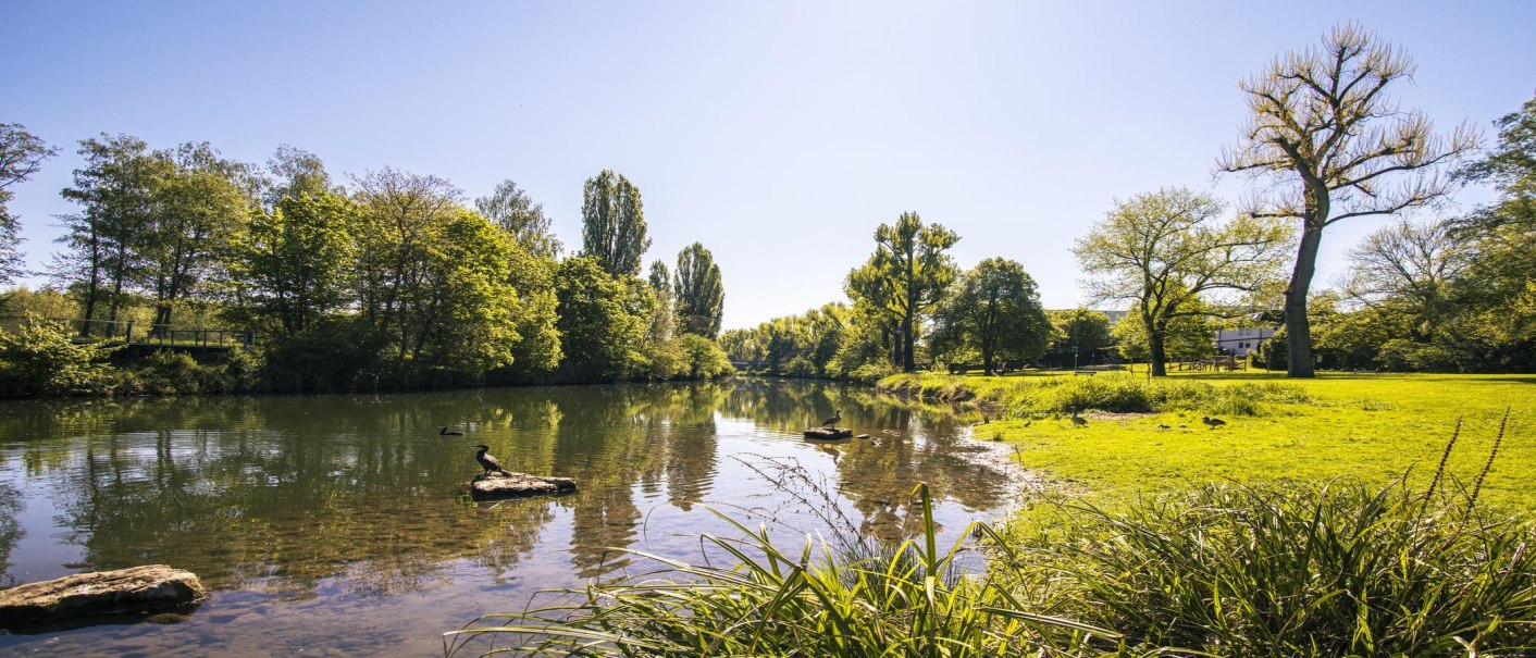 Flusslandschaft in Waiblingen mit grünen Bäumen, klarem Wasser und Enten. Der Himmel ist blau und die Sonne scheint., © SMG, Sarah Schmid