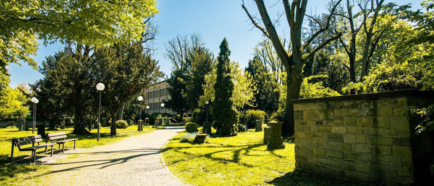 Ein sonniger Friedhof mit grünen Bäumen, Bänken und einem gepflasterten Weg. Im Hintergrund ist ein Gebäude zu sehen., © Stuttgart-Marketing GmbH, Sarah Schmid