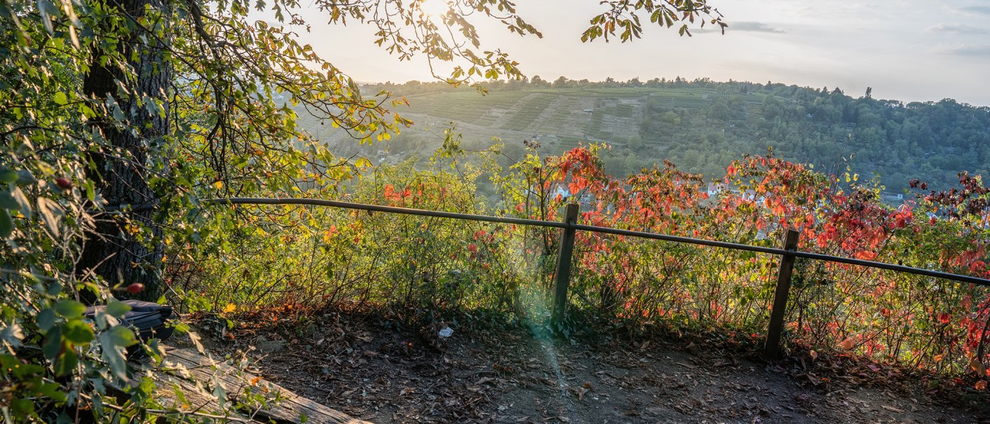 Herbstliche Szene am Bietigheimer Bergweg mit buntem Laub, Blick auf Weinberge und Sonnenstrahlen durch die Bäume., © SMG, Martina Denker Herbstliche Szene am Bietigheimer Bergweg mit buntem Laub, Blick auf Weinberge und Sonnenstrahlen durch die Bäume., © SMG, Martina Denker