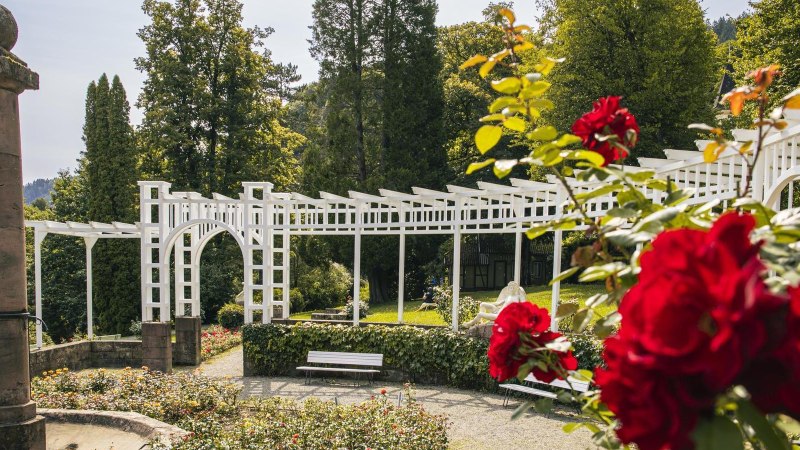 Ein Rosengarten mit roten Rosen im Vordergrund, einer weißen Pergola und einer Statue im Hintergrund. Bäume umgeben den Garten., © Stuttgart-Marketing GmbH, Sarah Schmid Ein Rosengarten mit roten Rosen im Vordergrund, einer weißen Pergola und einer Statue im Hintergrund. Bäume umgeben den Garten., © Stuttgart-Marketing GmbH, Sarah Schmid
