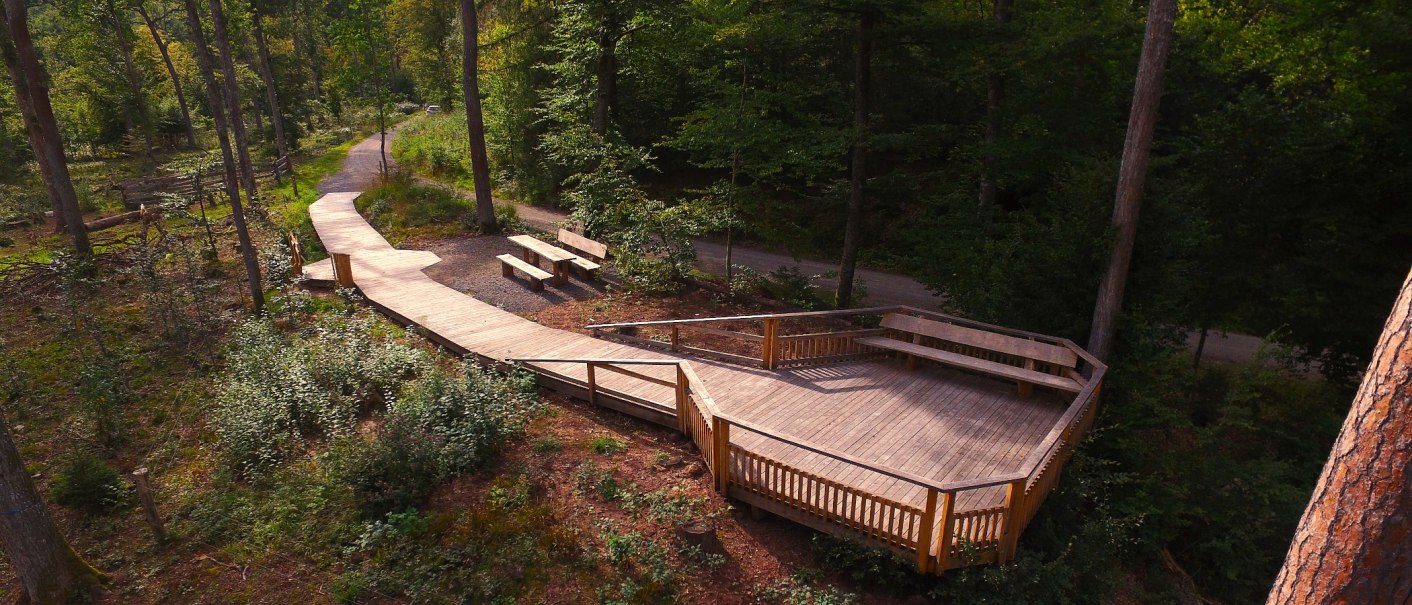 Ein Holzsteg mit Sitzbänken schlängelt sich durch einen grünen Wald. Der Steg bietet eine Aussichtsplattform mit Geländer., © Landratsamt Böblingen, Amt für Forsten Ein Holzsteg mit Sitzbänken schlängelt sich durch einen grünen Wald. Der Steg bietet eine Aussichtsplattform mit Geländer., © Landratsamt Böblingen, Amt für Forsten