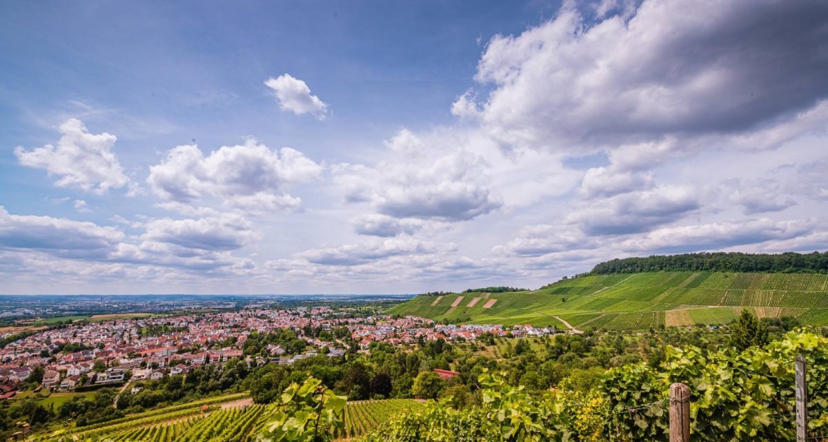 Blick auf die Weinberge von Korb, &copy; Remstal Tourismus e.V.