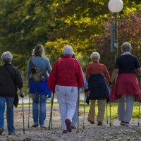 Walking & Talking in der Talaue, © WTM GmbH Waiblingen