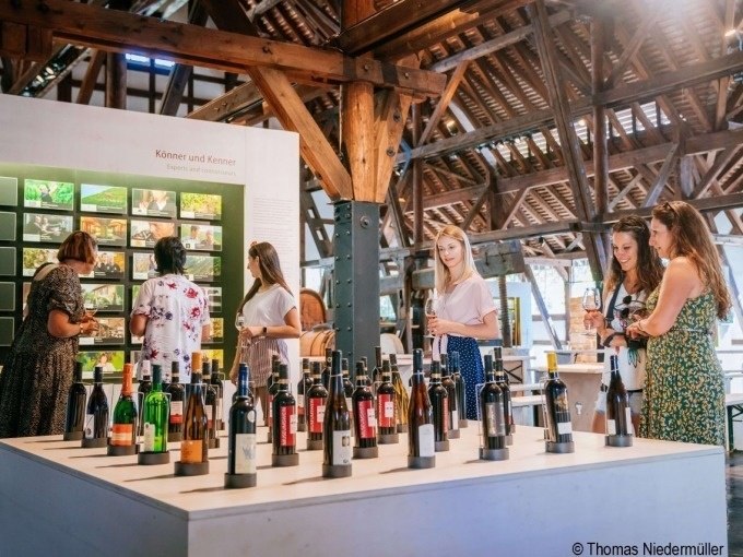 Besucher im Weinbaumuseum betrachten eine Ausstellung mit verschiedenen Weinflaschen. Im Hintergrund sind Informationstafeln und Holzkonstruktionen zu sehen., © Stuttgart Marketing GmbH, Thomas Niedermüller Besucher im Weinbaumuseum betrachten eine Ausstellung mit verschiedenen Weinflaschen. Im Hintergrund sind Informationstafeln und Holzkonstruktionen zu sehen., © Stuttgart Marketing GmbH, Thomas Niedermüller