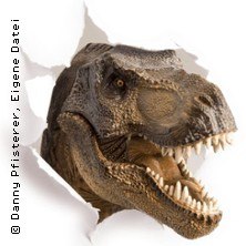 Ein realistischer Dinosaurierkopf bricht durch eine zerrissene Papierwand und zeigt seine Zähne., © links im Bild Ein realistischer Dinosaurierkopf bricht durch eine zerrissene Papierwand und zeigt seine Zähne., © links im Bild