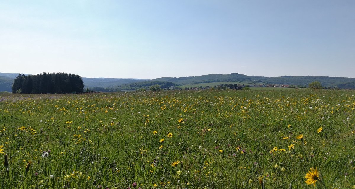 Der Weg führt an den Wiesen und Feldern vorbei, © Bad Urach Tourismus Der Weg führt an den Wiesen und Feldern vorbei, © Bad Urach Tourismus