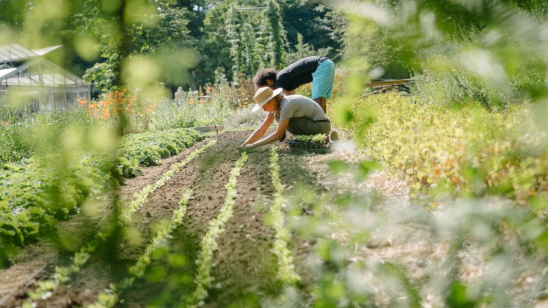 G&auml;rtner bei der Arbeit, &copy; Die Bilder sind urheberrechtlich gesch&uuml;tzt. Nutzungsrechte bitte vor Verwendung anfragen.