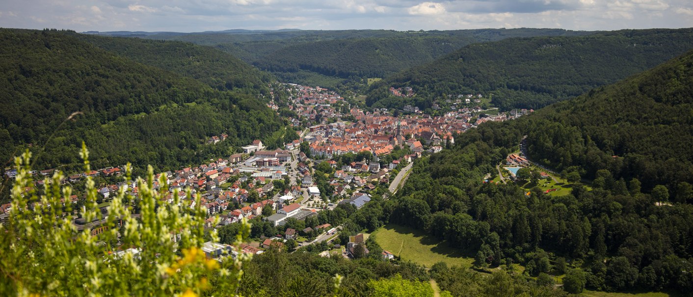 Panoramablick auf Bad Urach, eingebettet in grüne Hügel und Wälder, mit blühenden Pflanzen im Vordergrund., © Bad Urach Tourismus Panoramablick auf Bad Urach, eingebettet in grüne Hügel und Wälder, mit blühenden Pflanzen im Vordergrund., © Bad Urach Tourismus