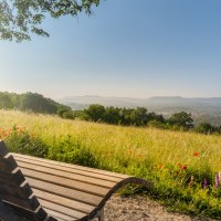 Holzliege auf einer Wiese mit Blick auf eine Stadt in der Ferne. Der Himmel ist klar und die Landschaft gr&uuml;n und bl&uuml;hend., &copy; SMG, Martina Denker