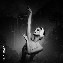 Grand Classic Ballet - Schwanensee - Jenseits der B&uuml;hne mit live Streichquartett, &copy; links im Bild