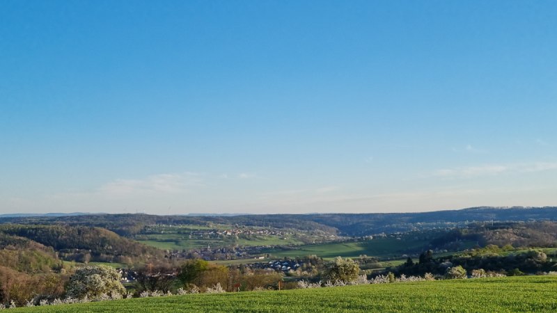 Weite Landschaft mit gr&uuml;nen Feldern und bl&uuml;henden B&auml;umen unter klarem, blauem Himmel. Im Hintergrund sind H&uuml;gel und W&auml;lder zu sehen., &copy; NPSFW