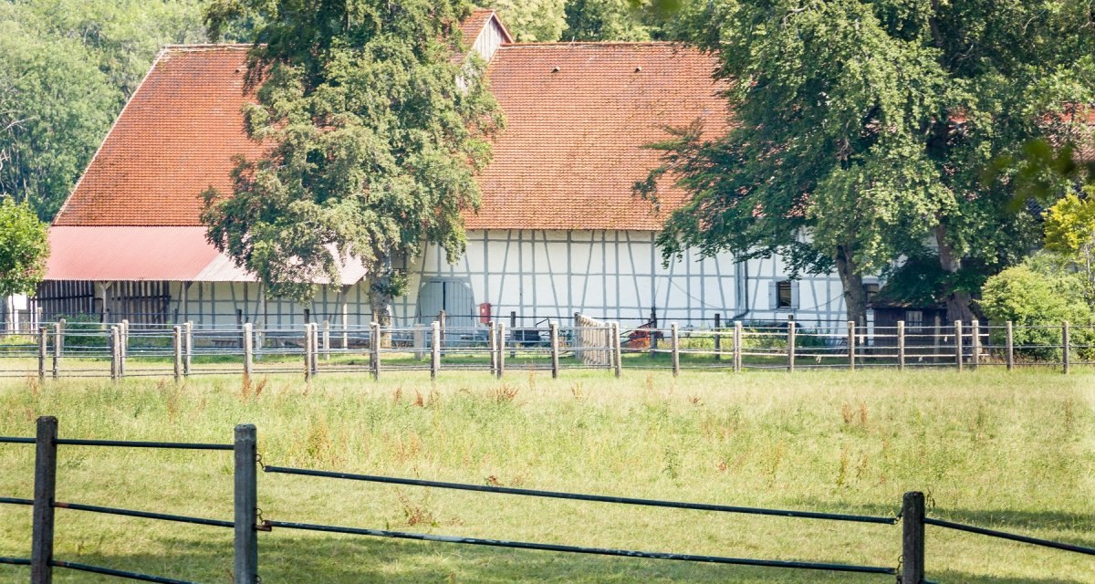 Ein Fachwerkgebäude mit rotem Dach steht hinter einer grünen Weide, umgeben von Bäumen und einem Holzzaun., © hochgehberge Ein Fachwerkgebäude mit rotem Dach steht hinter einer grünen Weide, umgeben von Bäumen und einem Holzzaun., © hochgehberge