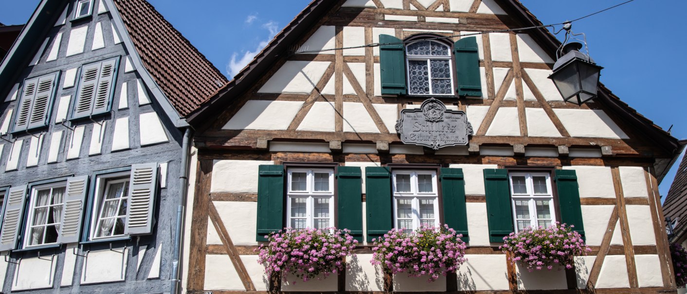 Zwei Fachwerkhäuser in der Altstadt von Marbach am Neckar. Eines hat grüne Fensterläden und Blumenkästen, das andere blaue Fensterläden., © SMG Antje Seeling